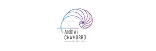 anibal-chamorro-consultores